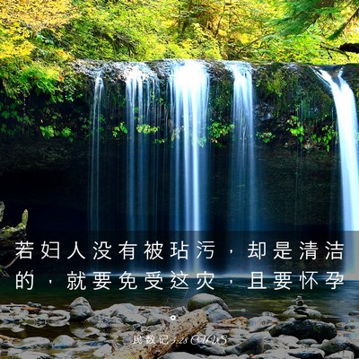 Picture 03 - 民 数 记 5:28 CUVS - 若 妇 人 没 有 被 玷 污 ， 却 是 清 - Bible Verse Picture