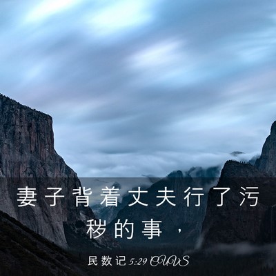 Picture 03 - 民 数 记 5:29 CUVS - 妻 子 背 着 丈 夫 行 了 污 秽 的 事 - Bible Verse Picture