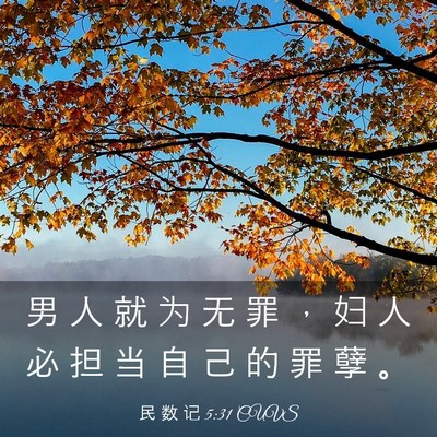 Picture 03 - 民 数 记 5:31 CUVS - 男 人 就 为 无 罪 ， 妇 人 必 担 当 - Bible Verse Picture