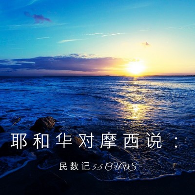 Picture 03 - 民 数 记 5:5 CUVS - 耶 和 华 对 摩 西 说 - Bible Verse Picture
