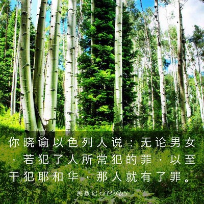 Picture 03 - 民 数 记 5:6 CUVS - 你 晓 谕 以 色 列 人 说 ： 无 论 男 - Bible Verse Picture