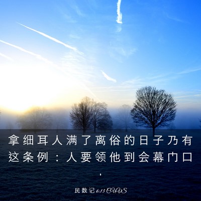 Picture 03 - 民 数 记 6:13 CUVS - 拿 细 耳 人 满 了 离 俗 的 日 子 乃 - Bible Verse Picture