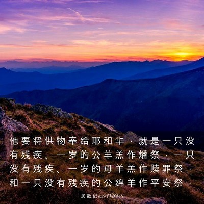 Picture 03 - 民 数 记 6:14 CUVS - 他 要 将 供 物 奉 给 耶 和 华 ， 就 - Bible Verse Picture