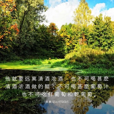 Picture 03 - 民 数 记 6:3 CUVS - 他 就 要 远 离 清 酒 浓 酒 ， 也 不 - Bible Verse Picture