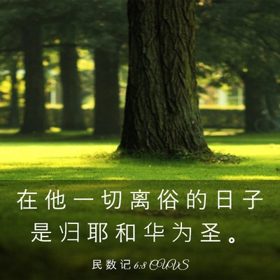 Picture 03 - 民 数 记 6:8 CUVS - 在 他 一 切 离 俗 的 日 子 是 归 耶 - Bible Verse Picture