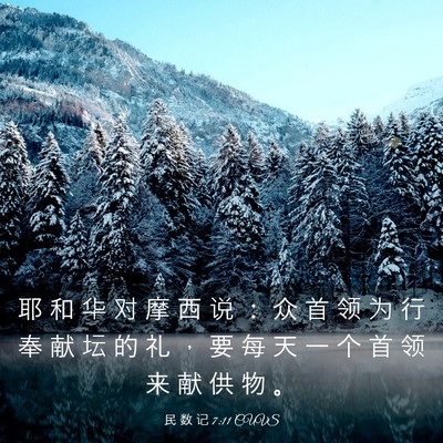Picture 03 - 民 数 记 7:11 CUVS - 耶 和 华 对 摩 西 说 ： 众 首 领 为 - Bible Verse Picture