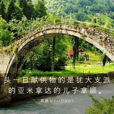 Picture 03 - 民 数 记 7:12 CUVS - 头 一 日 献 供 物 的 是 犹 大 支 派 - Bible Verse Picture
