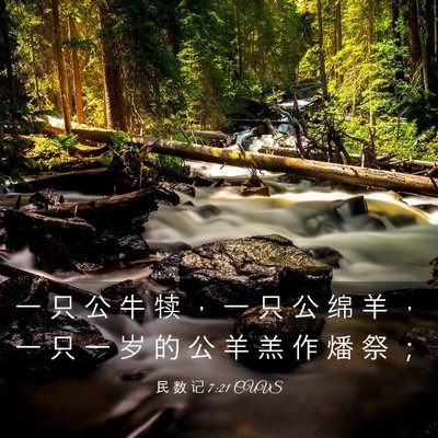 Picture 03 - 民 数 记 7:21 CUVS - 一 只 公 牛 犊 ， 一 只 公 绵 羊 ， - Bible Verse Picture