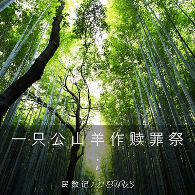 Picture 03 - 民 数 记 7:22 CUVS - 一 只 公 山 羊 作 赎 罪 祭 - Bible Verse Picture