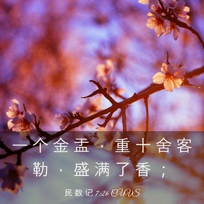 Picture 03 - 民 数 记 7:26 CUVS - 一 个 金 盂 ， 重 十 舍 客 勒 ， 盛 - Bible Verse Picture