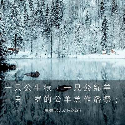Picture 03 - 民 数 记 7:27 CUVS - 一 只 公 牛 犊 ， 一 只 公 绵 羊 ， - Bible Verse Picture