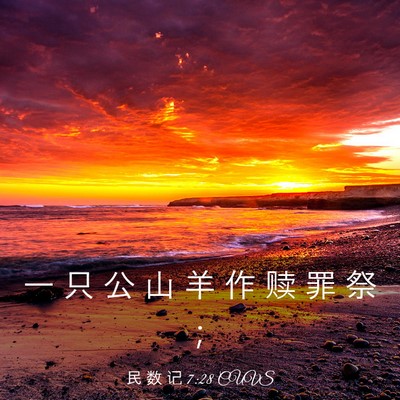 Picture 03 - 民 数 记 7:28 CUVS - 一 只 公 山 羊 作 赎 罪 祭 - Bible Verse Picture