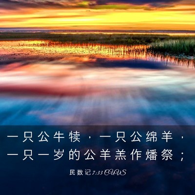 Picture 03 - 民 数 记 7:33 CUVS - 一 只 公 牛 犊 ， 一 只 公 绵 羊 ， - Bible Verse Picture