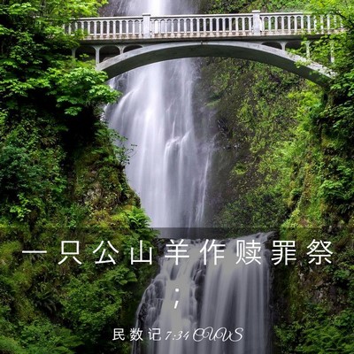 Picture 03 - 民 数 记 7:34 CUVS - 一 只 公 山 羊 作 赎 罪 祭 - Bible Verse Picture