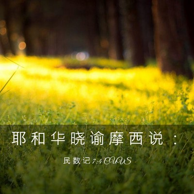 Picture 03 - 民 数 记 7:4 CUVS - 耶 和 华 晓 谕 摩 西 说 - Bible Verse Picture