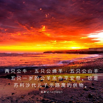 Picture 03 - 民 数 记 7:41 CUVS - 两 只 公 牛 ， 五 只 公 绵 羊 ， 五 - Bible Verse Picture