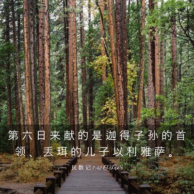 Picture 03 - 民 数 记 7:42 CUVS - 第 六 日 来 献 的 是 迦 得 子 孙 的 - Bible Verse Picture