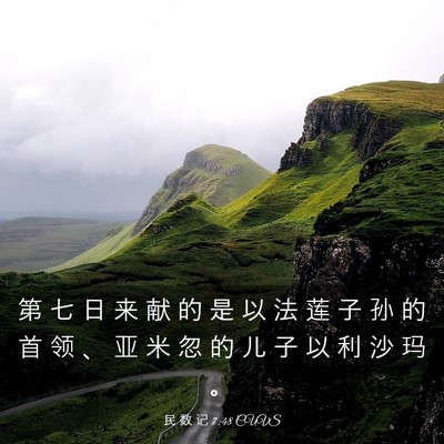 Picture 03 - 民 数 记 7:48 CUVS - 第 七 日 来 献 的 是 以 法 莲 子 孙 - Bible Verse Picture