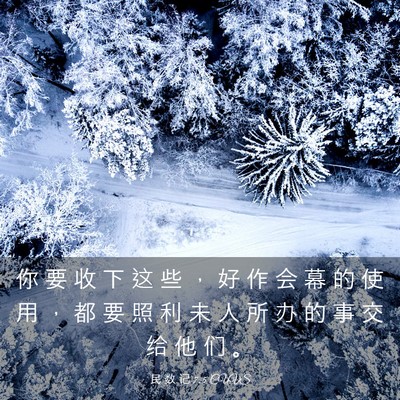 Picture 03 - 民 数 记 7:5 CUVS - 你 要 收 下 这 些 ， 好 作 会 幕 的 - Bible Verse Picture