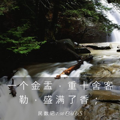 Picture 03 - 民 数 记 7:50 CUVS - 一 个 金 盂 ， 重 十 舍 客 勒 ， 盛 - Bible Verse Picture