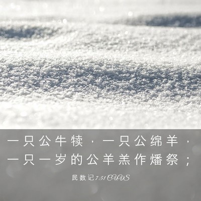 Picture 03 - 民 数 记 7:51 CUVS - 一 只 公 牛 犊 ， 一 只 公 绵 羊 ， - Bible Verse Picture