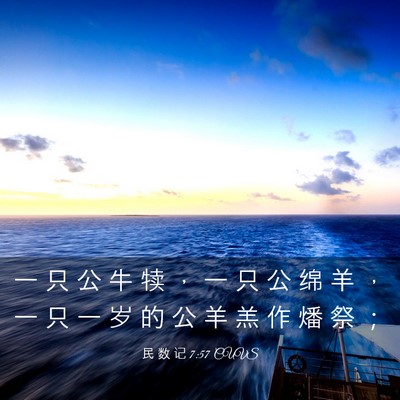 Picture 03 - 民 数 记 7:57 CUVS - 一 只 公 牛 犊 ， 一 只 公 绵 羊 ， - Bible Verse Picture