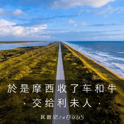 Picture 03 - 民 数 记 7:6 CUVS - 於 是 摩 西 收 了 车 和 牛 ， 交 给 - Bible Verse Picture
