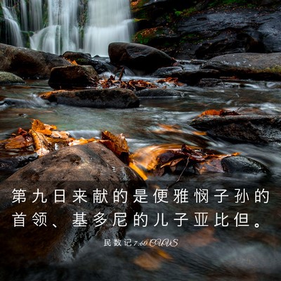 Picture 03 - 民 数 记 7:60 CUVS - 第 九 日 来 献 的 是 便 雅 悯 子 孙 - Bible Verse Picture