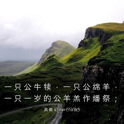 Picture 03 - 民 数 记 7:69 CUVS - 一 只 公 牛 犊 ， 一 只 公 绵 羊 ， - Bible Verse Picture