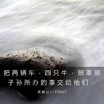 Picture 03 - 民 数 记 7:7 CUVS - 把 两 辆 车 ， 四 只 牛 ， 照 革 顺 - Bible Verse Picture