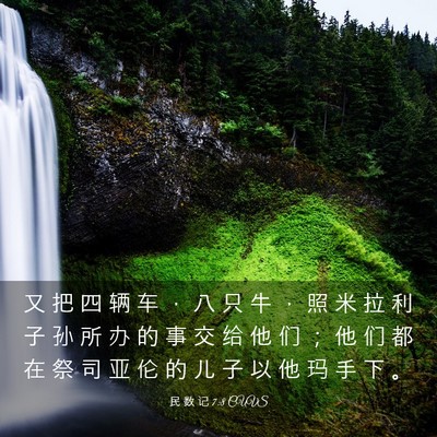 Picture 03 - 民 数 记 7:8 CUVS - 又 把 四 辆 车 ， 八 只 牛 ， 照 米 - Bible Verse Picture