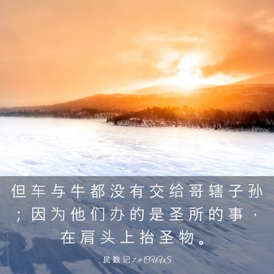 Picture 03 - 民 数 记 7:9 CUVS - 但 车 与 牛 都 没 有 交 给 哥 辖 子 - Bible Verse Picture
