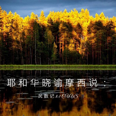 Picture 03 - 民 数 记 8:1 CUVS - 耶 和 华 晓 谕 摩 西 说 - Bible Verse Picture