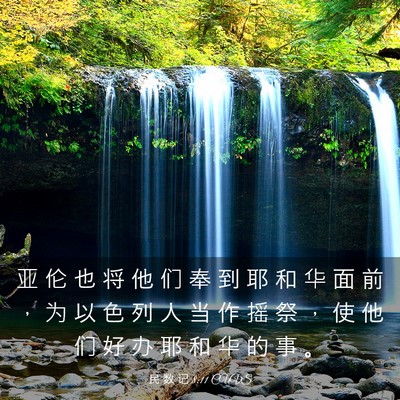 Picture 03 - 民 数 记 8:11 CUVS - 亚 伦 也 将 他 们 奉 到 耶 和 华 面 - Bible Verse Picture