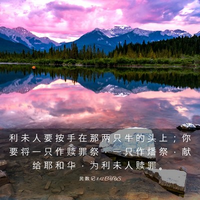 Picture 03 - 民 数 记 8:12 CUVS - 利 未 人 要 按 手 在 那 两 只 牛 的 - Bible Verse Picture