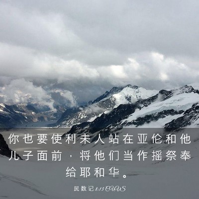 Picture 03 - 民 数 记 8:13 CUVS - 你 也 要 使 利 未 人 站 在 亚 伦 和 - Bible Verse Picture