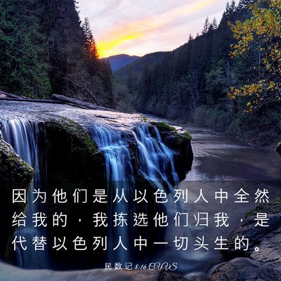 Picture 03 - 民 数 记 8:16 CUVS - 因 为 他 们 是 从 以 色 列 人 中 全 - Bible Verse Picture