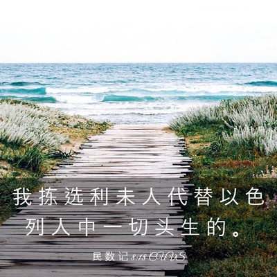 Picture 03 - 民 数 记 8:18 CUVS - 我 拣 选 利 未 人 代 替 以 色 列 人 - Bible Verse Picture