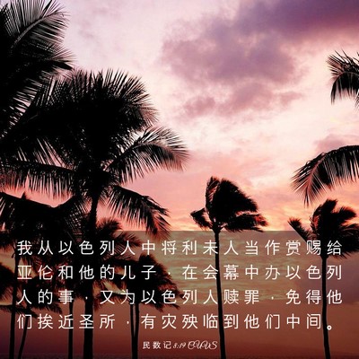 Picture 03 - 民 数 记 8:19 CUVS - 我 从 以 色 列 人 中 将 利 未 人 当 - Bible Verse Picture