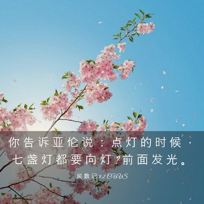 Picture 03 - 民 数 记 8:2 CUVS - 你 告 诉 亚 伦 说 ： 点 灯 的 时 候 - Bible Verse Picture