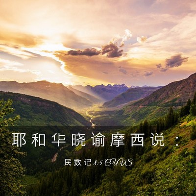 Picture 03 - 民 数 记 8:5 CUVS - 耶 和 华 晓 谕 摩 西 说 - Bible Verse Picture