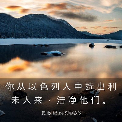 Picture 03 - 民 数 记 8:6 CUVS - 你 从 以 色 列 人 中 选 出 利 未 人 - Bible Verse Picture