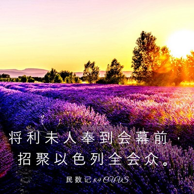 Picture 03 - 民 数 记 8:9 CUVS - 将 利 未 人 奉 到 会 幕 前 ， 招 聚 - Bible Verse Picture