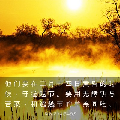 Picture 03 - 民 数 记 9:11 CUVS - 他 们 要 在 二 月 十 四 日 黄 昏 的 - Bible Verse Picture