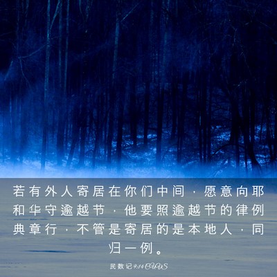 Picture 03 - 民 数 记 9:14 CUVS - 若 有 外 人 寄 居 在 你 们 中 间 ， - Bible Verse Picture