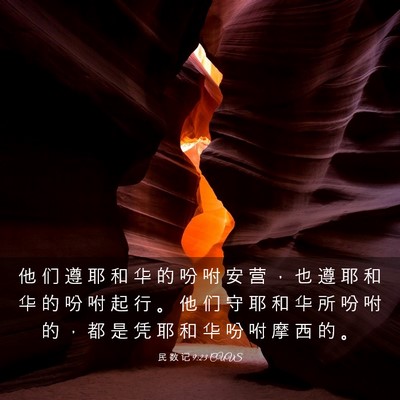 Picture 03 - 民 数 记 9:23 CUVS - 他 们 遵 耶 和 华 的 吩 咐 安 营 ， - Bible Verse Picture