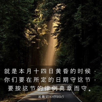 Picture 03 - 民 数 记 9:3 CUVS - 就 是 本 月 十 四 日 黄 昏 的 时 候 - Bible Verse Picture