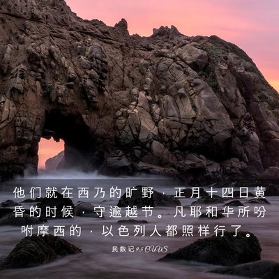 Picture 03 - 民 数 记 9:5 CUVS - 他 们 就 在 西 乃 的 旷 野 ， 正 月 - Bible Verse Picture