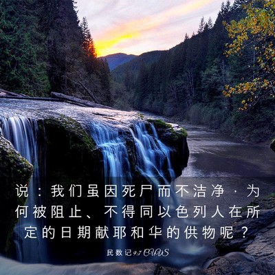 Picture 03 - 民 数 记 9:7 CUVS - 说 ： 我 们 虽 因 死 尸 而 不 洁 净 - Bible Verse Picture