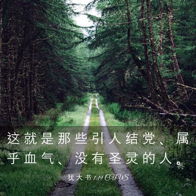 Picture 03 - 犹 大 书 1:19 CUVS - 这 就 是 那 些 引 人 结 党 、 属 乎 - Bible Verse Picture